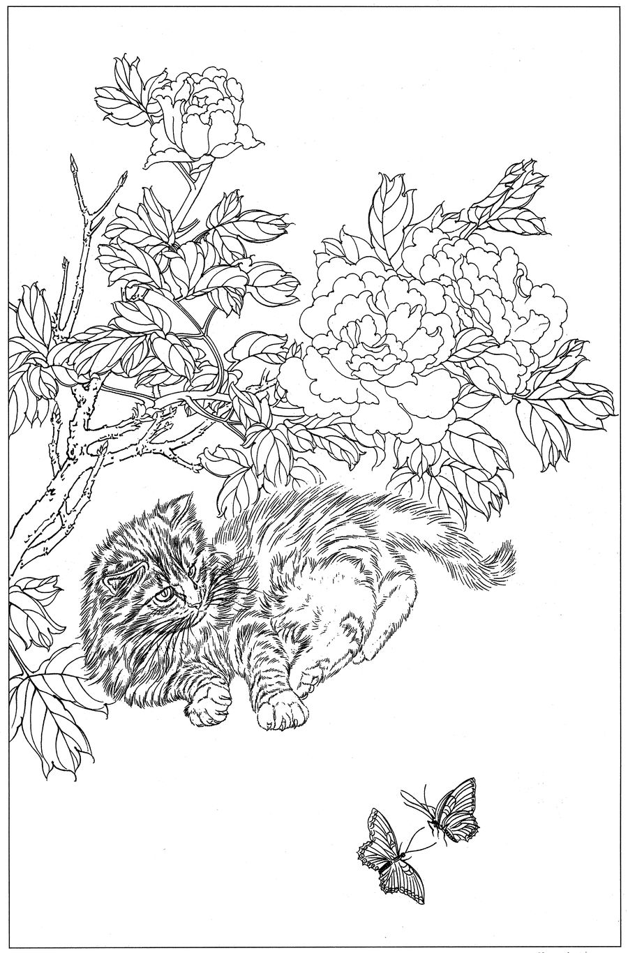 猫高清白描线稿图片下载16幅