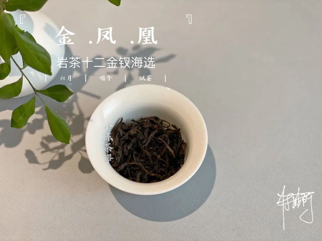 都是乌龙茶，老丛水仙与凤凰单丛有什么区别，你能说中几个？