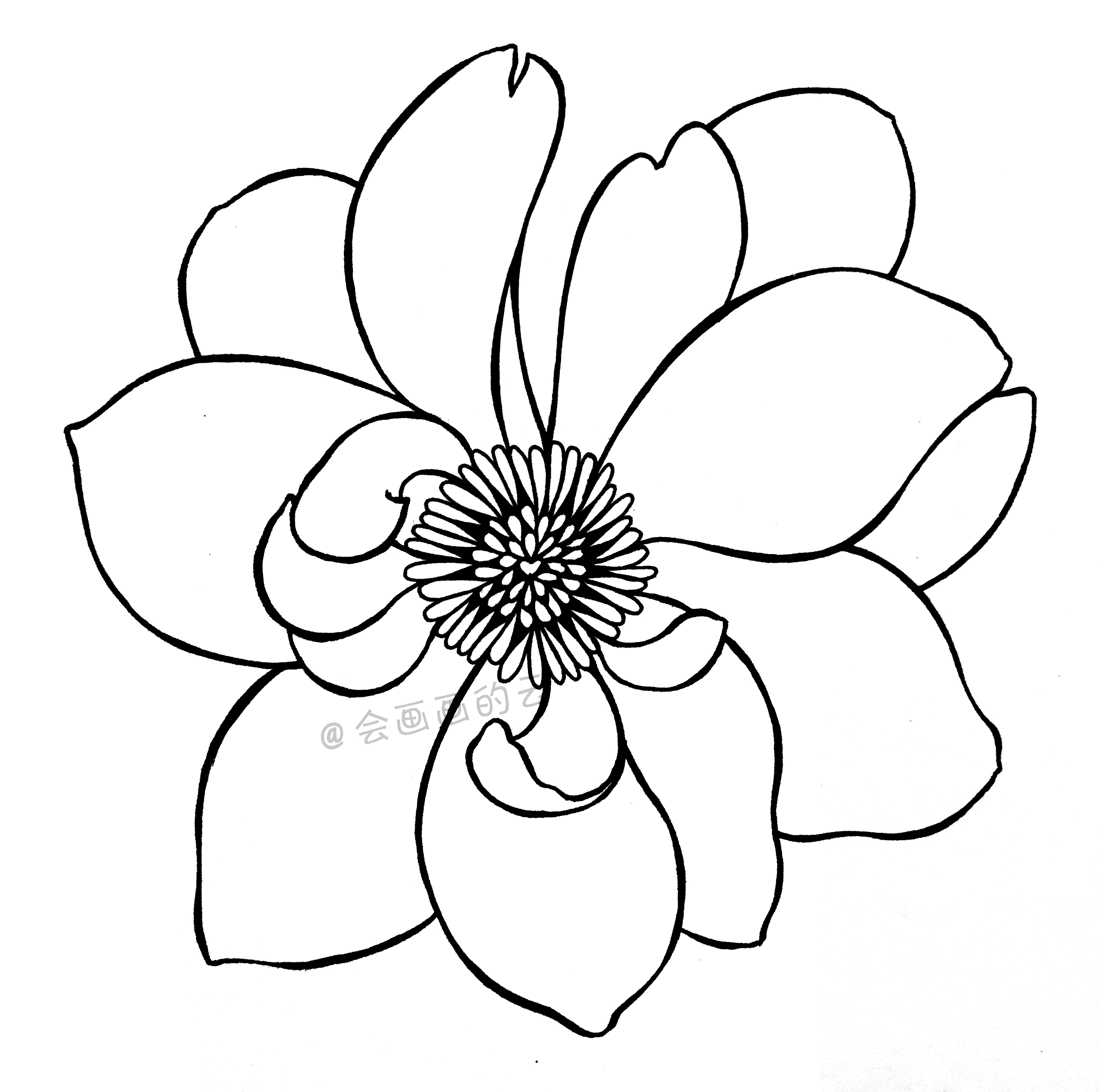 简笔画教程,详细步骤图教你画一朵花,一支笔就可以画