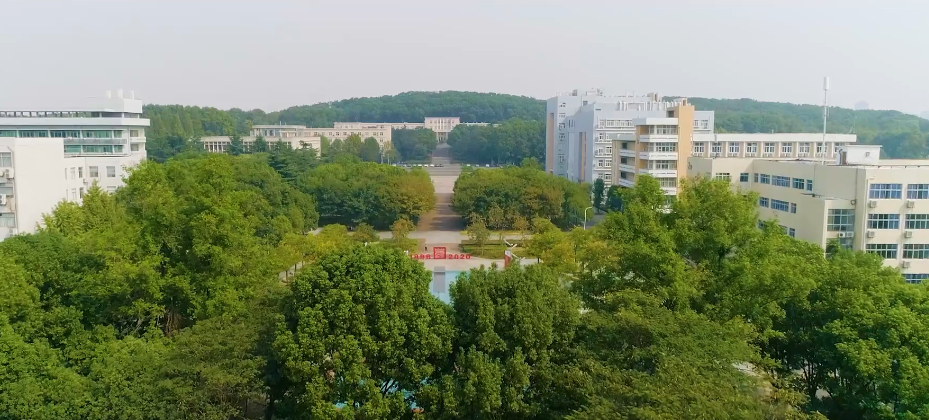 武汉的一些高校太有特色了，看完好想再来武汉读一次大学