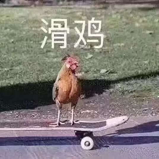 深圳教师26万年薪？全清华北大？那是因为你不了解内幕