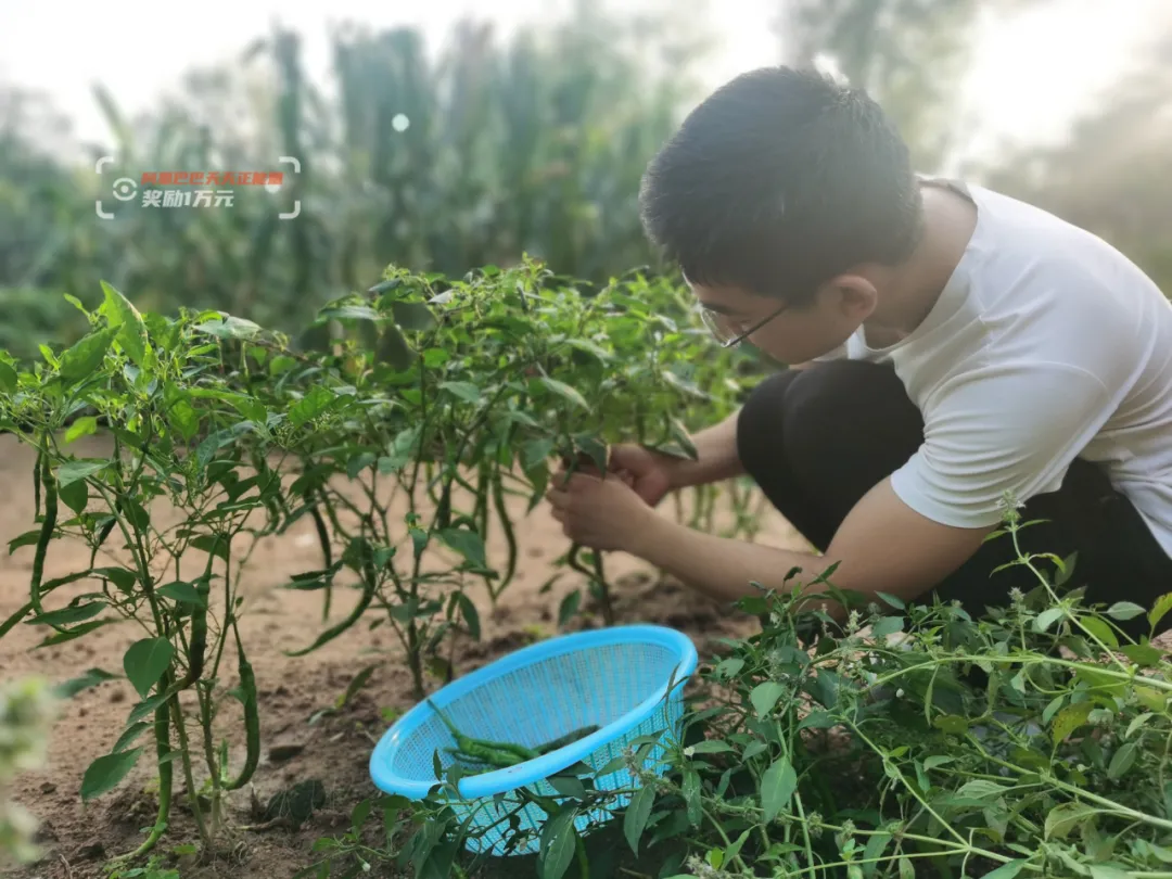 高考650分的农家男孩暑假打工赚学费,“苦难让人更快成长!”