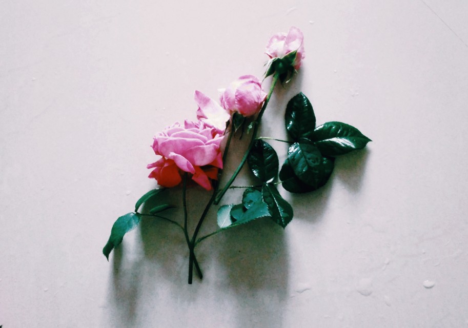 关于高考作文（七篇中考高考满分作文）