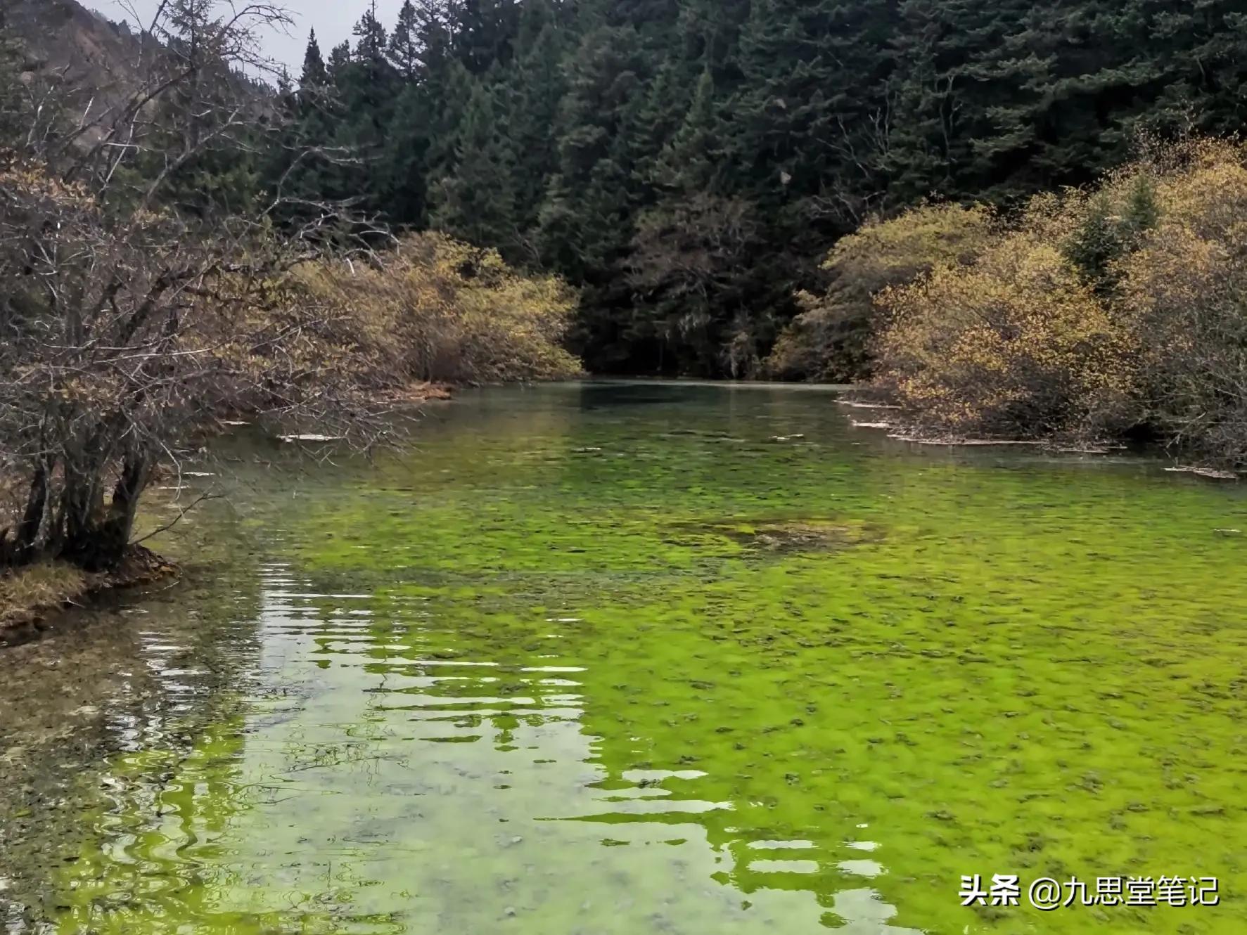 无边风景在路上；十月中下旬川西小环线，拍摄的唯美照片精选合集