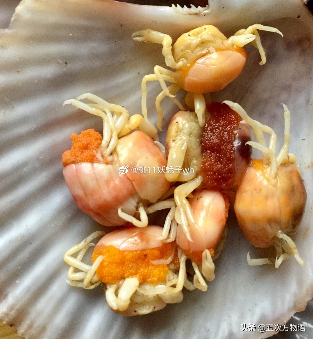 关于豆豆蟹的美文 _晶羽文学网