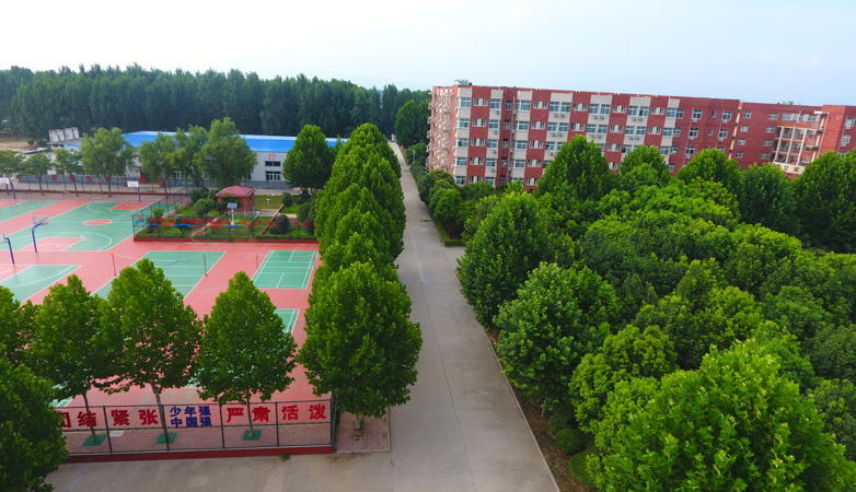 河南南阳十所重点高中，2020高考喜报，南阳一中六百分上线超千人