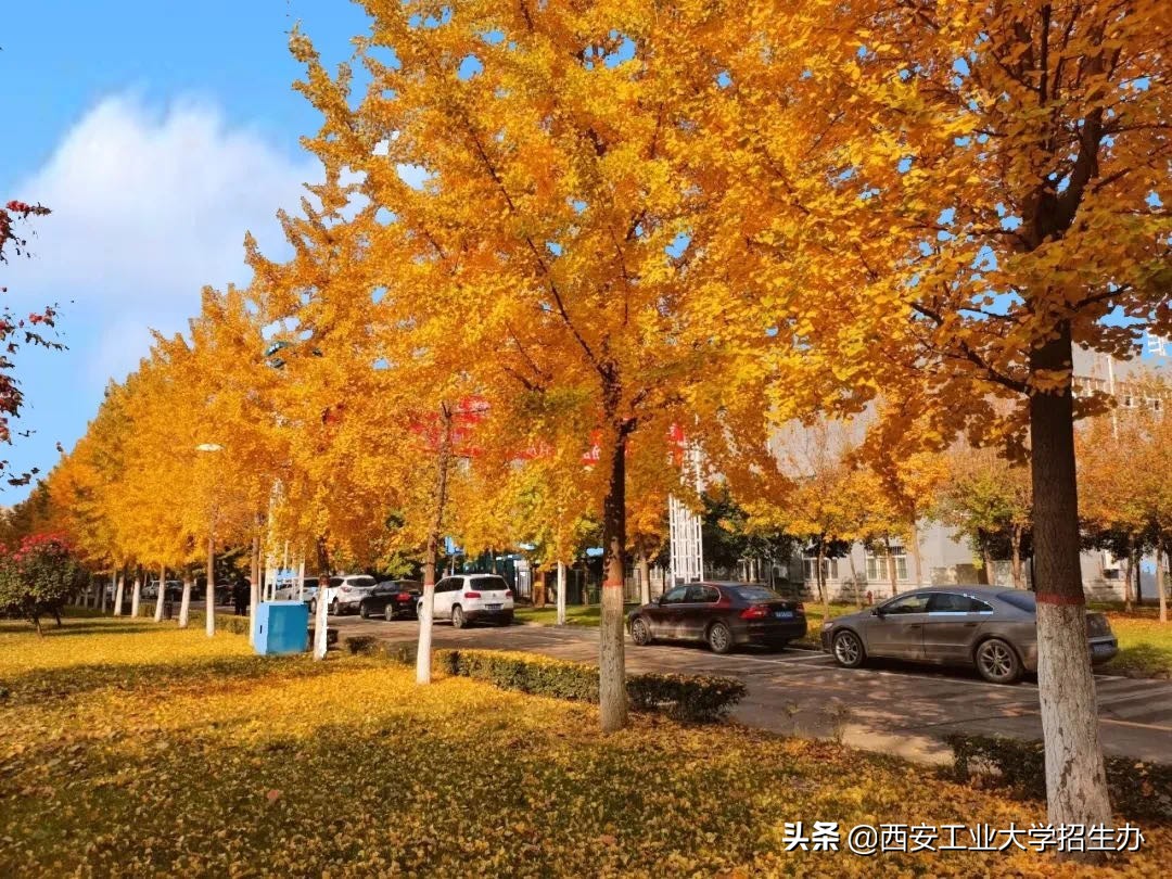 兵工七子之一，走出共和国少将、大国重器总师，西安工大实力硬核