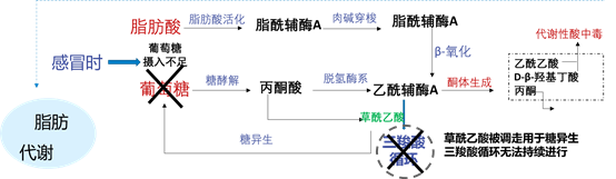  春夏交替，正值感冒高发期！送你一份宝宝感冒期营养指南