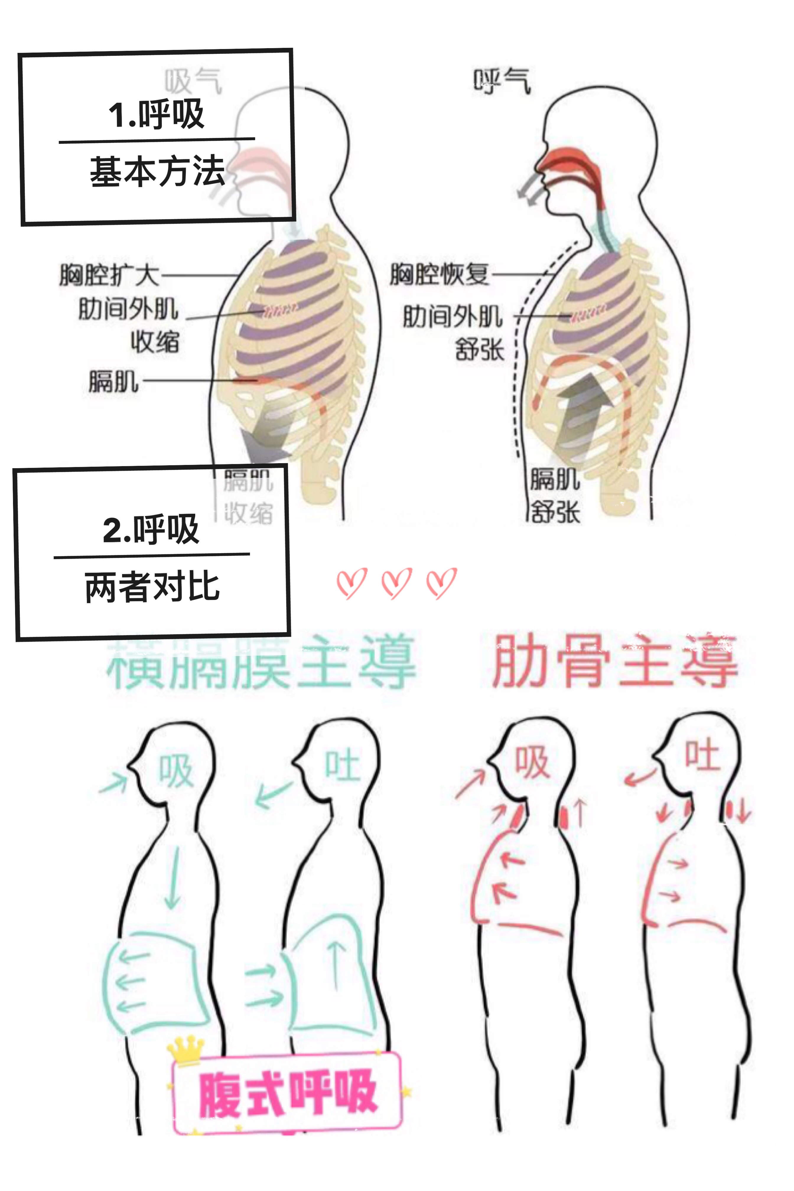 燃脂爆汗的Tabata，怎么做到4分钟速成魔鬼身材？