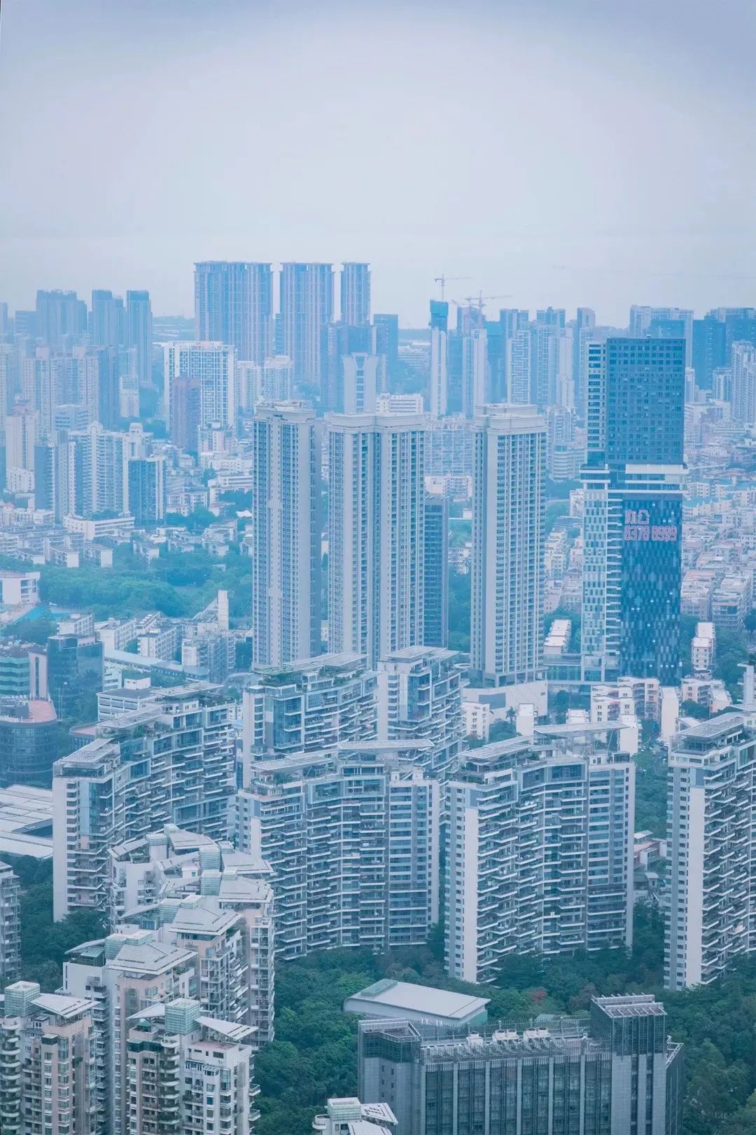 深圳值得征服的10座山，你去过几座？