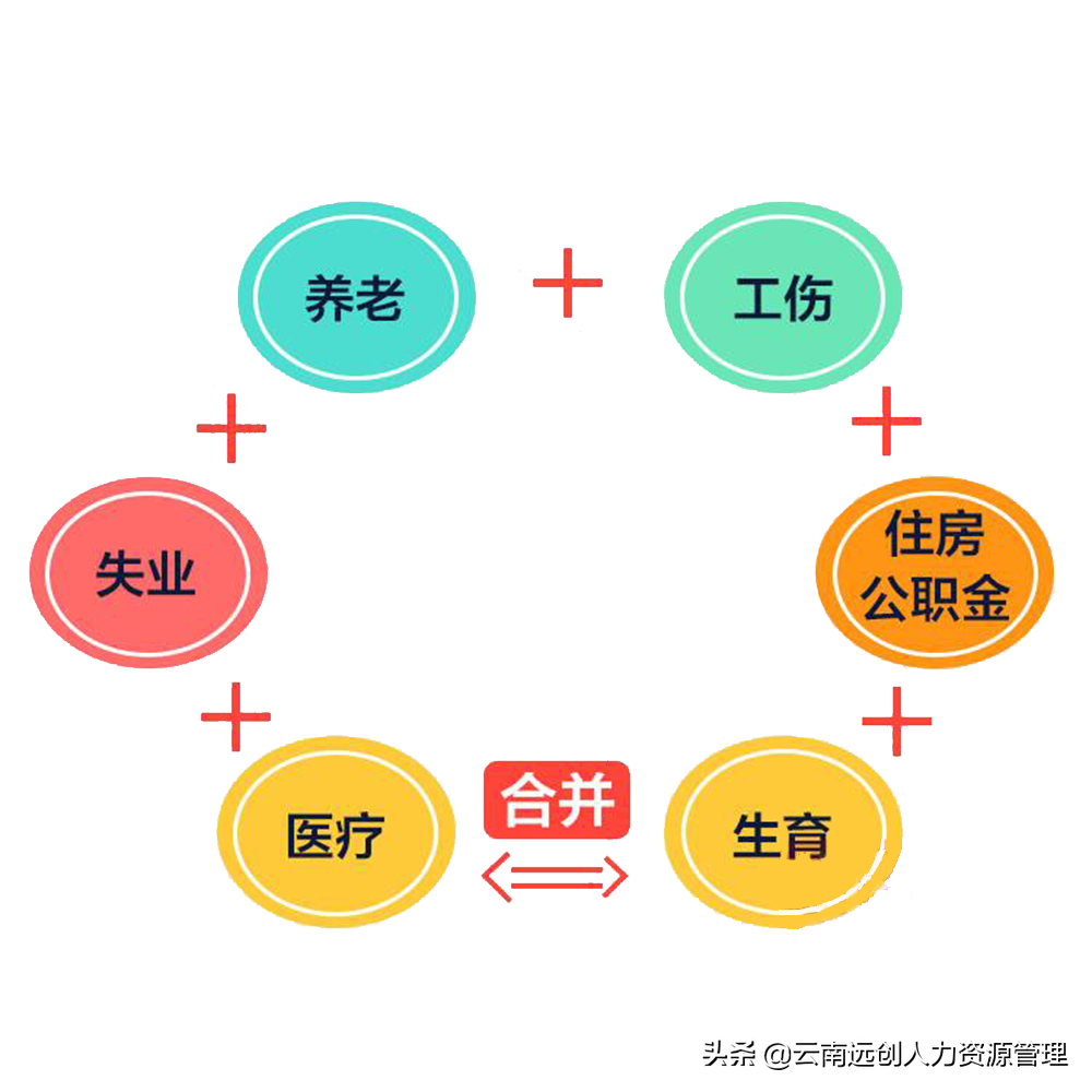 「养老金医保」什么是四险一金（五险变四险，养老金又涨了）