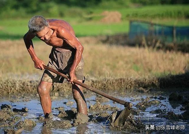 张雪峰高考讲座完整版（张雪峰讲高考志愿）