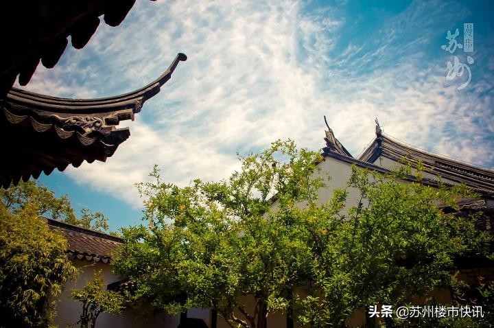 马住！苏州市各区社保局、税务局地址！