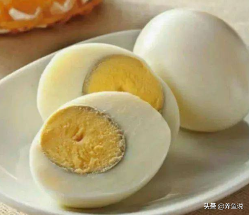 魚苗吃什么,魚苗吃什么食物