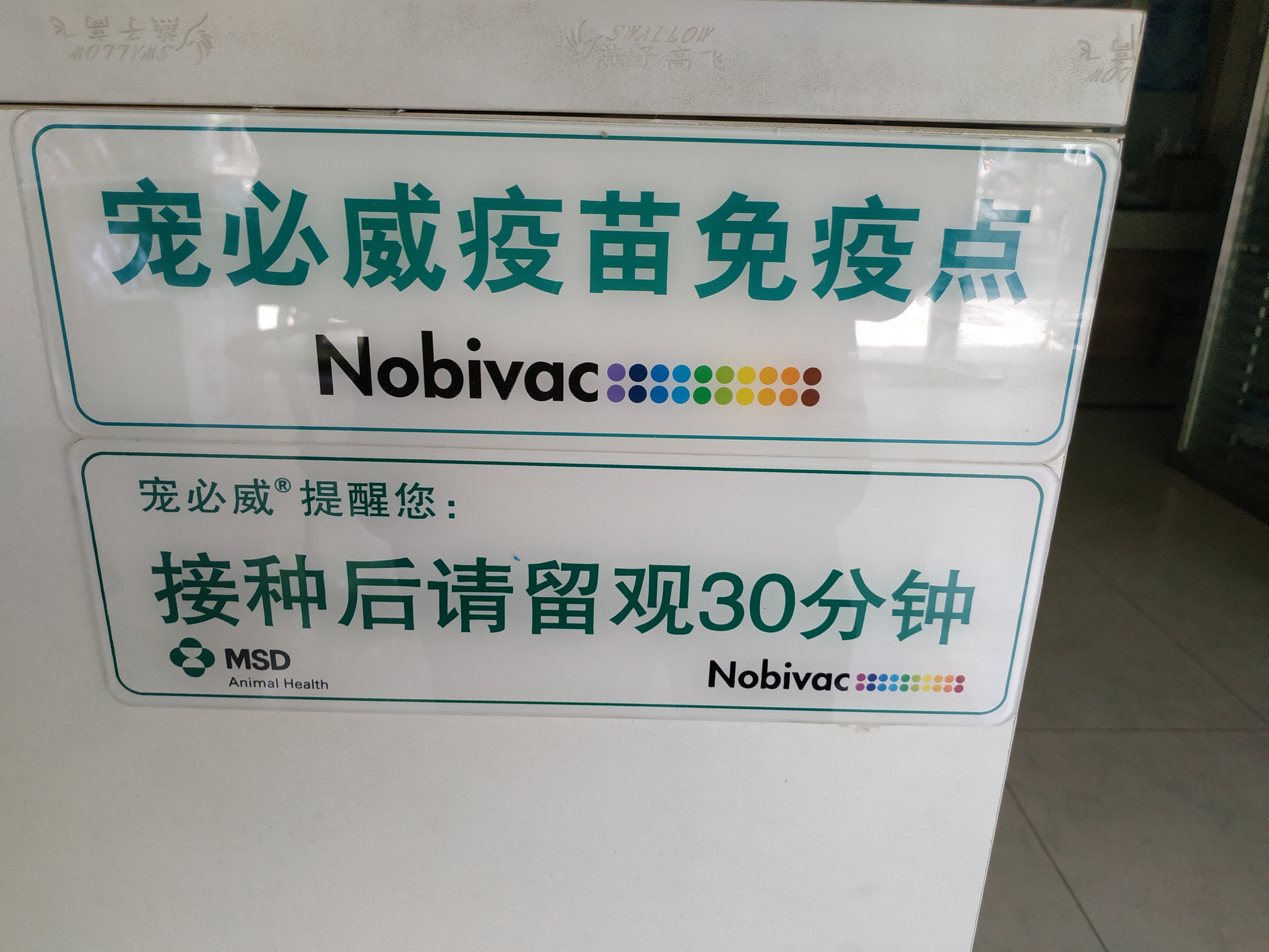 3次、4针、21天、这几个数字记错了,给狗打最贵的疫苗也没有意义