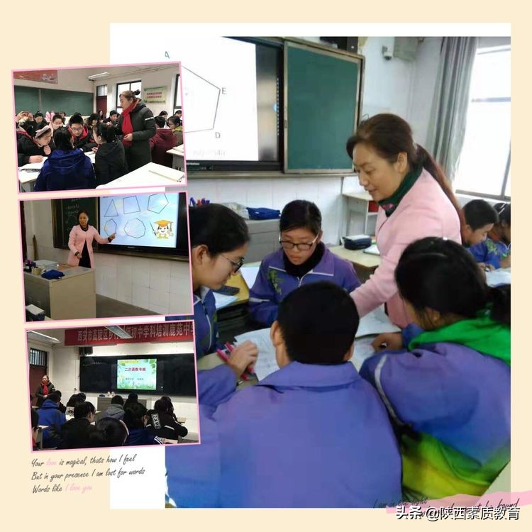 春风化雨浓 砥砺教育真——记西安市高陵区鹿苑中学教师高卓利