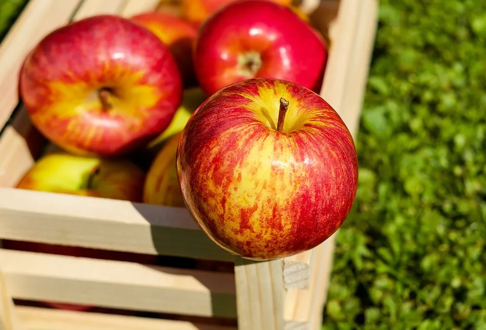 苹果山楂红枣水的功效和作用（详解苹果山楂水的营养价值）
