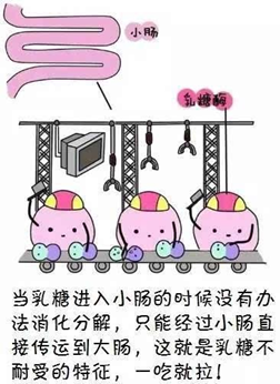 你知道吗？70%婴儿腹泻与乳糖不耐受有关，你却在给孩子傻傻吃药