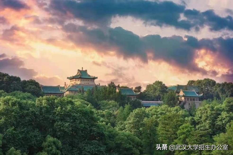 武汉大学真实排名（进步神速）