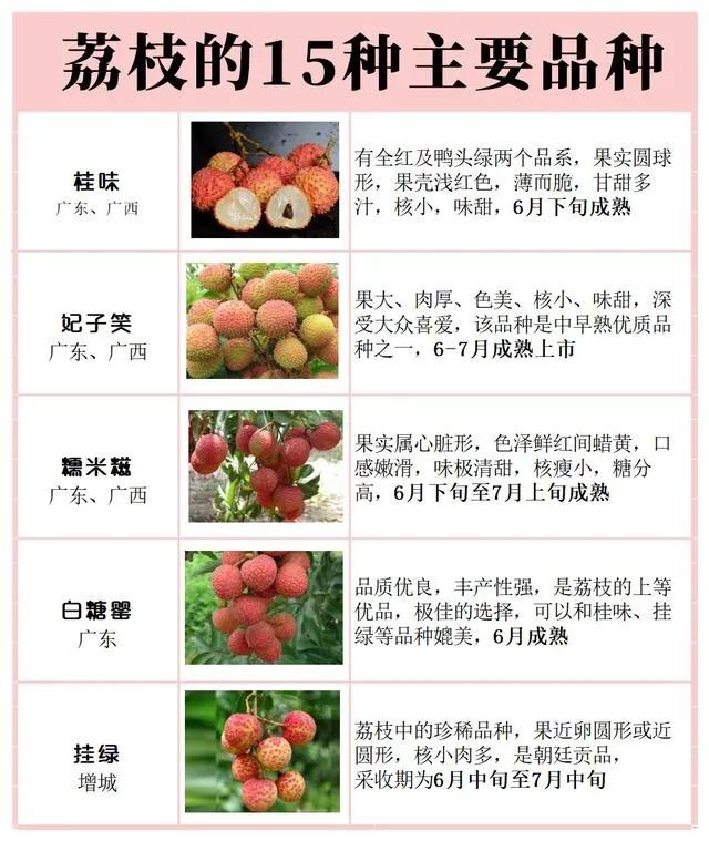 荔枝有多少品种（盘点15种常见荔枝介绍）