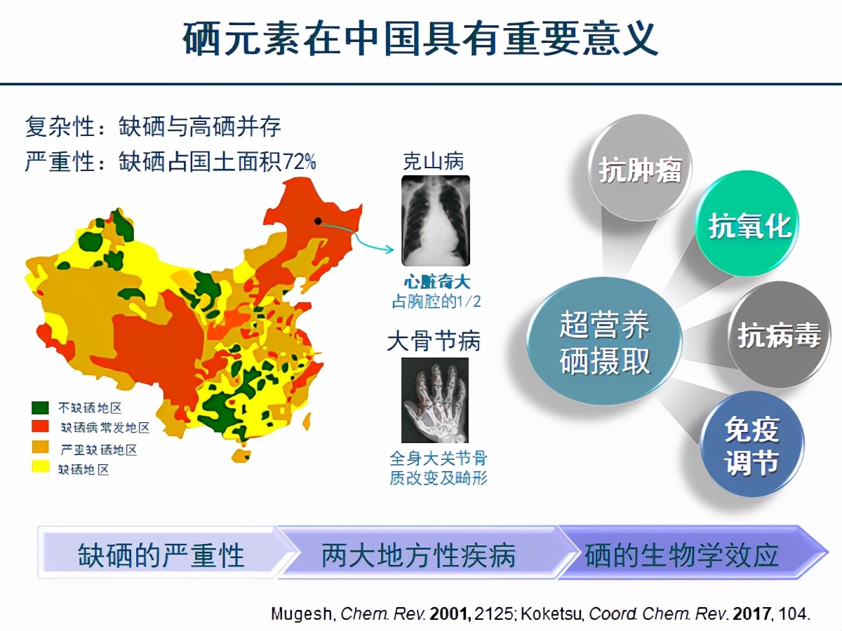 暨南大学孵化科技企业暨创硒源成为硒产业领航者