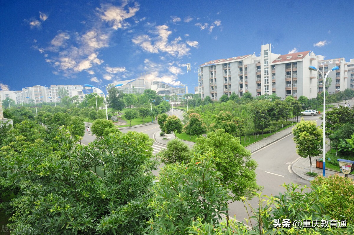 2021年重庆市普通中小学优秀班主任宣传人选评选结果