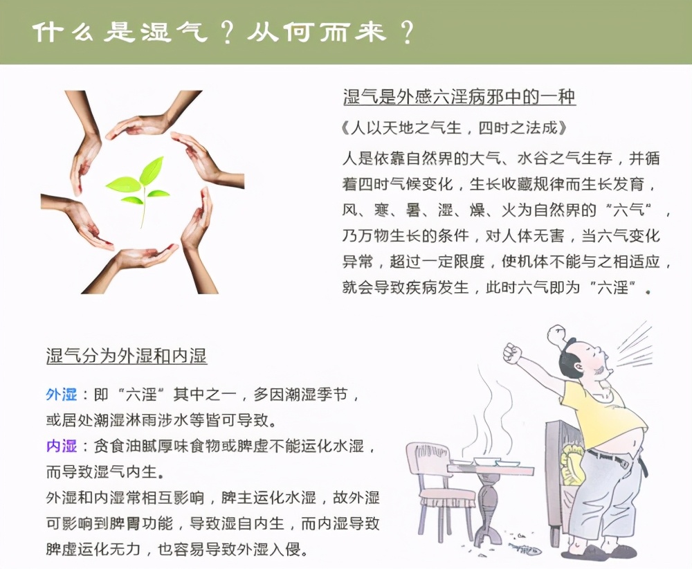 化湿，又能行气消胀。很适合湿浊阻滞在脾胃中焦，出现气滞腹胀的情况。如果是寒湿阻滞脾胃，可以加上一些苦