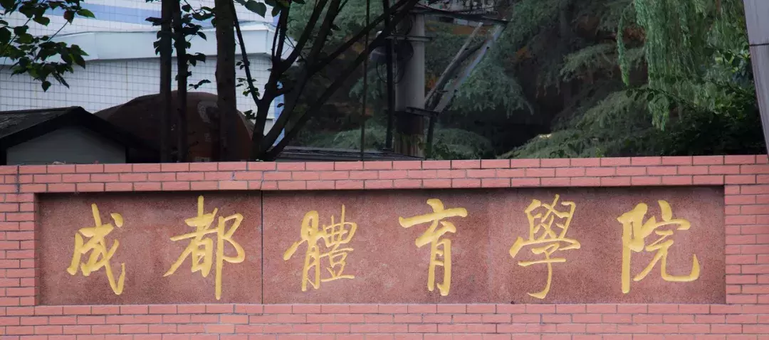 成都体院游泳培训（成都体院的二三事）