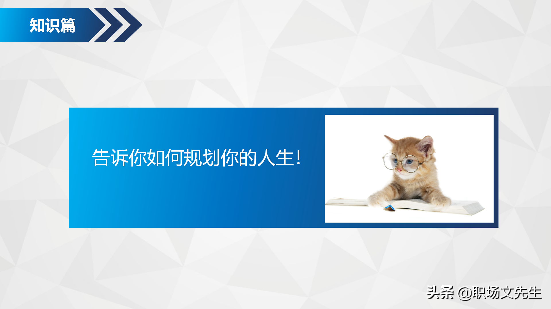 如何进行自我职业规划？34页企业部门职业规划PPT模板，生存之道