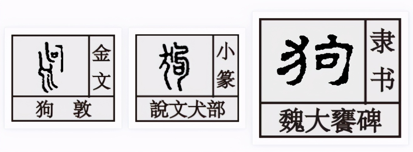 01犬字的甲骨文跟豕的甲骨文有些相似,僅有的區別在於向前張開的