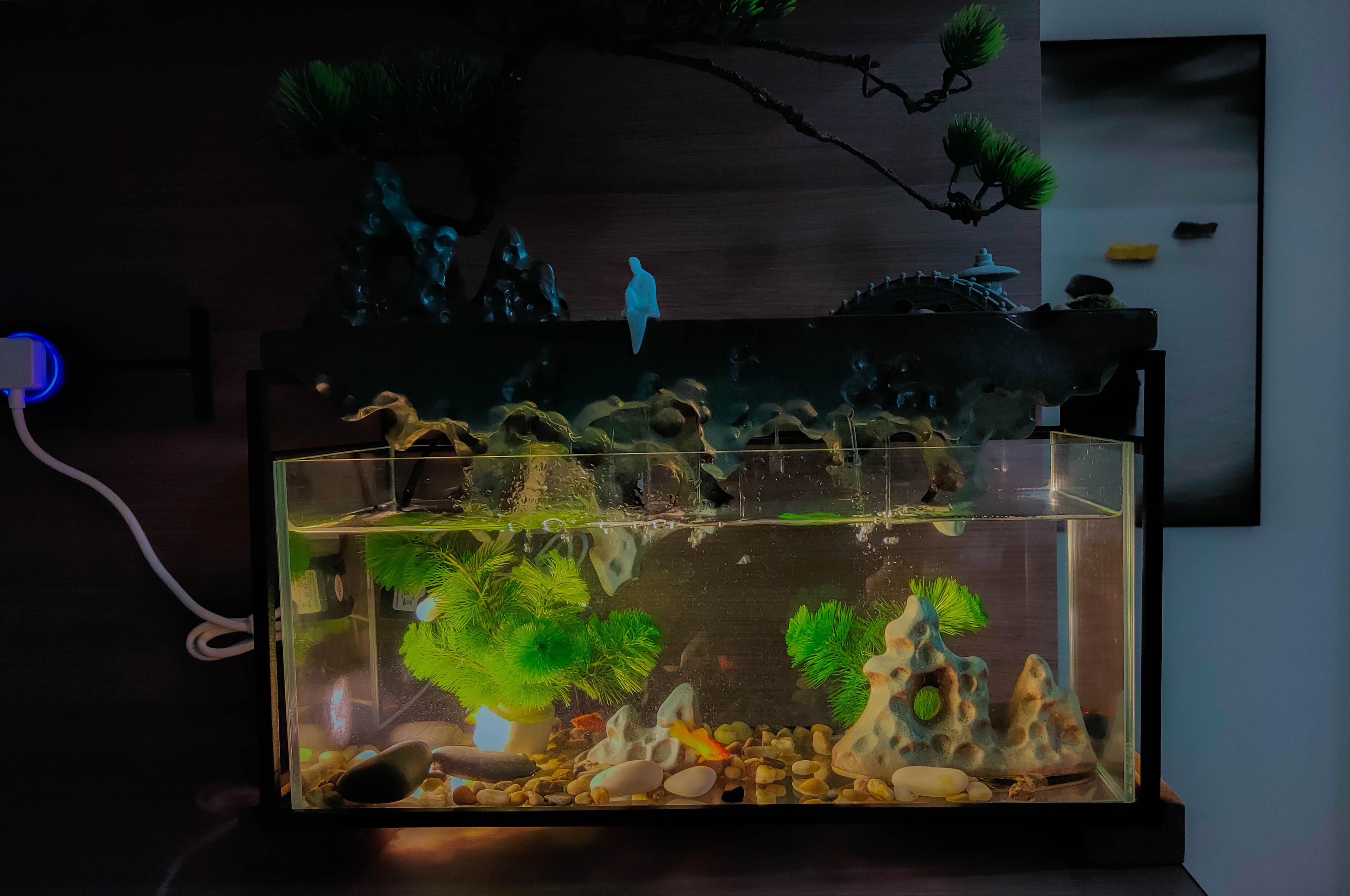 天空之城+流水造型，MOMOYOO水光山色鱼缸体验：萌新养鱼记