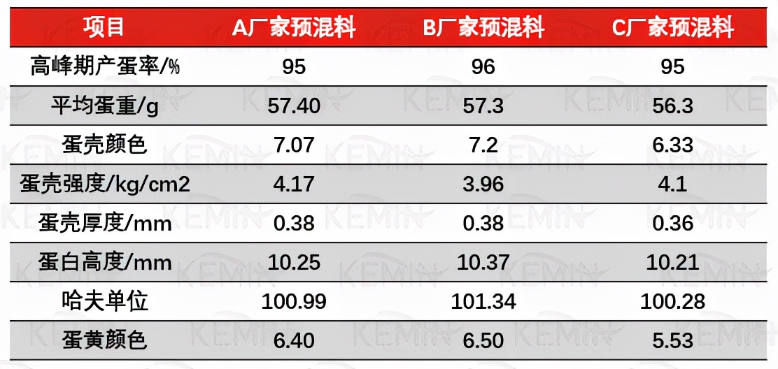 鸡蛋壳质量为什么会变差？怎么解决？看这一篇全明白了