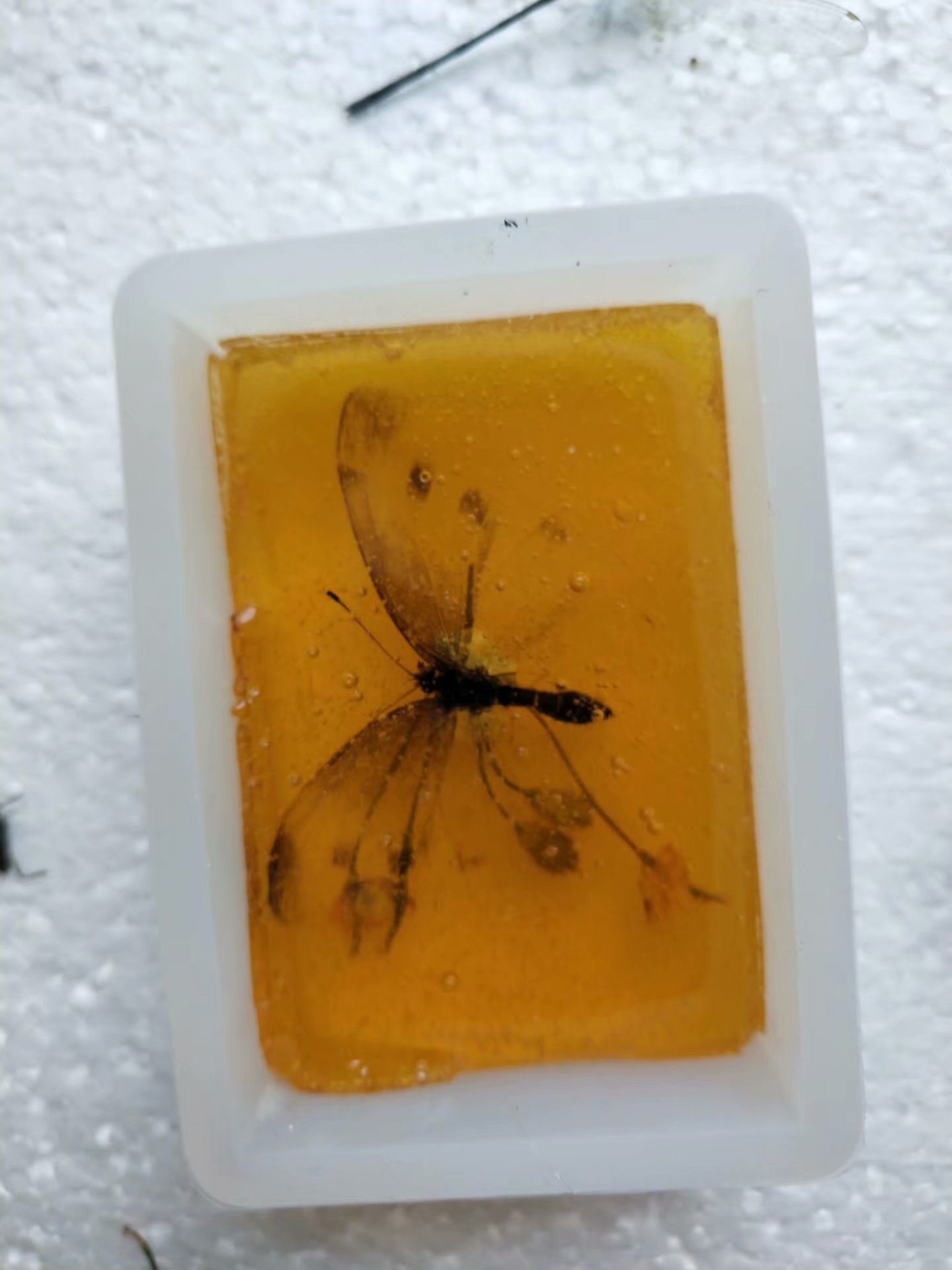 琥珀是怎么形成的(松脂如何制作琥珀) - 汽车时代网