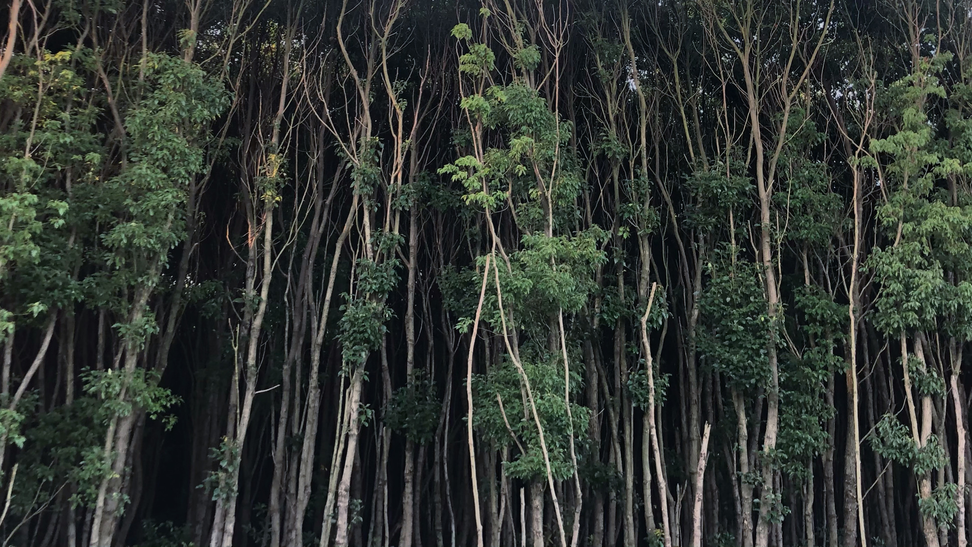 上海淀山湖风景区自驾一日游