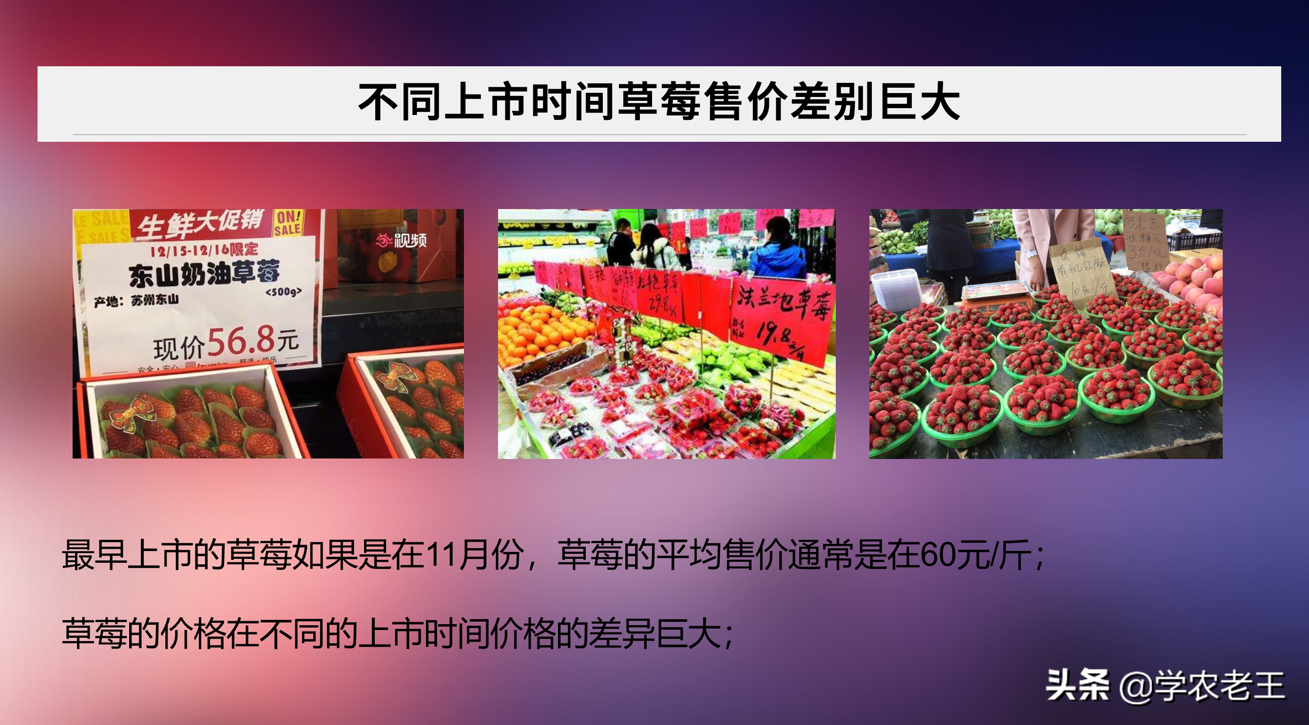 种植草莓购买基质苗？常说好苗七分收！划得来吗？一起来算算帐