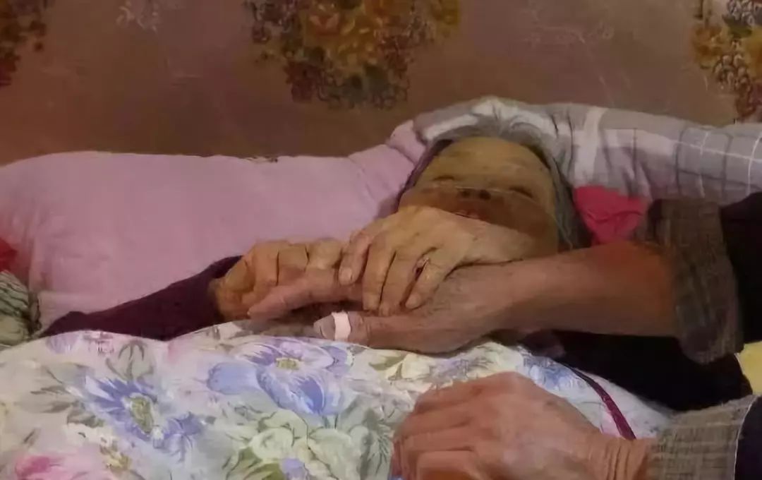 北大博士赴美留学后，失踪20年，母亲弥留之际被告知：此生不再见