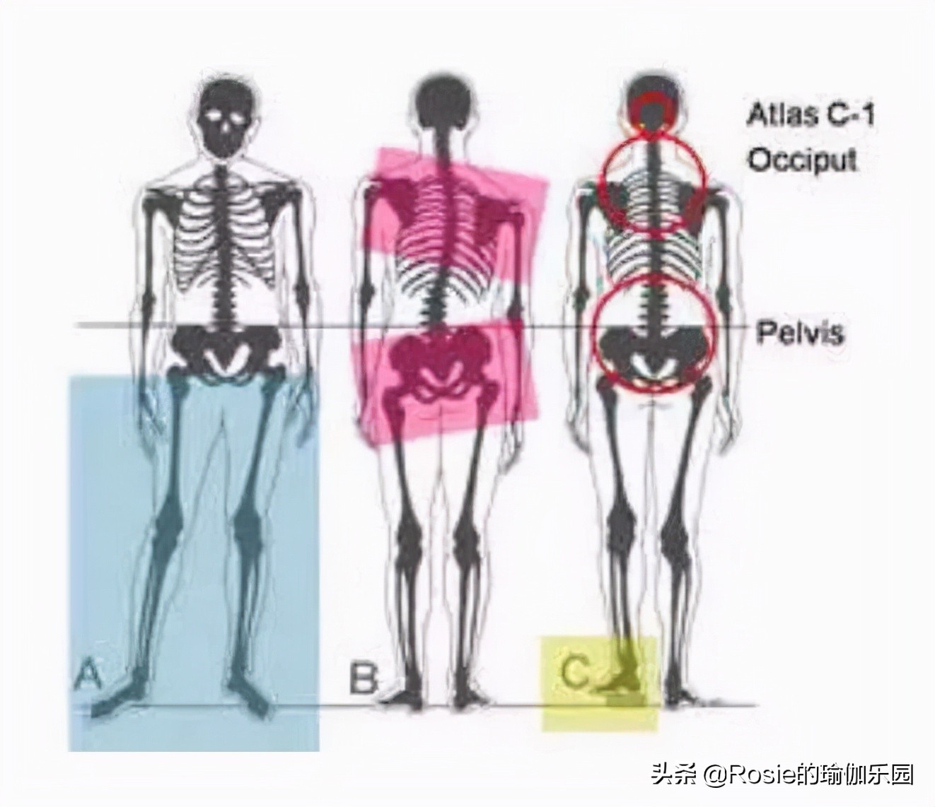 《斛珠夫人》的惊喜是她？每天3步简单练，解锁董璇同款长直美腿
