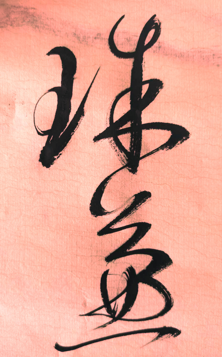 如何看明白律师执业证书编号