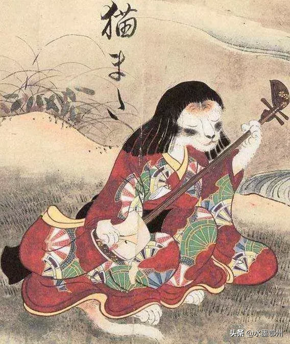 刷完100部“猫片”,发现你们对喵星人的偏见竟如此之大