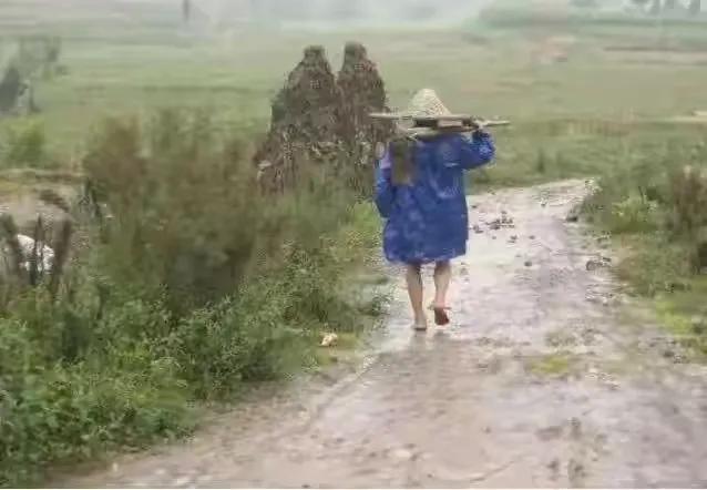 今日七月半，七月半这天降雨有什么预兆，看看老祖宗怎么说