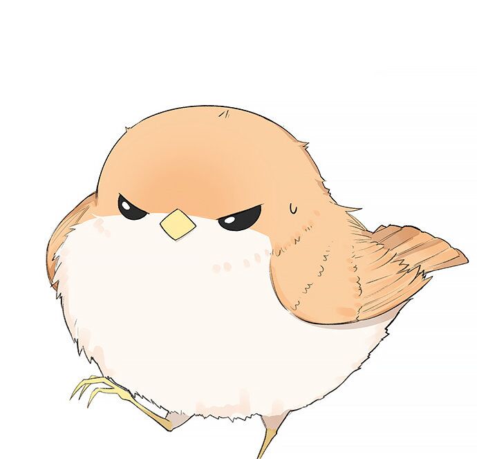 肥啾多少钱一只(银喉长尾山雀) - 价格百科