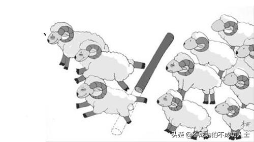 你爱跟风么？这到底对么？羊群效应告诉您