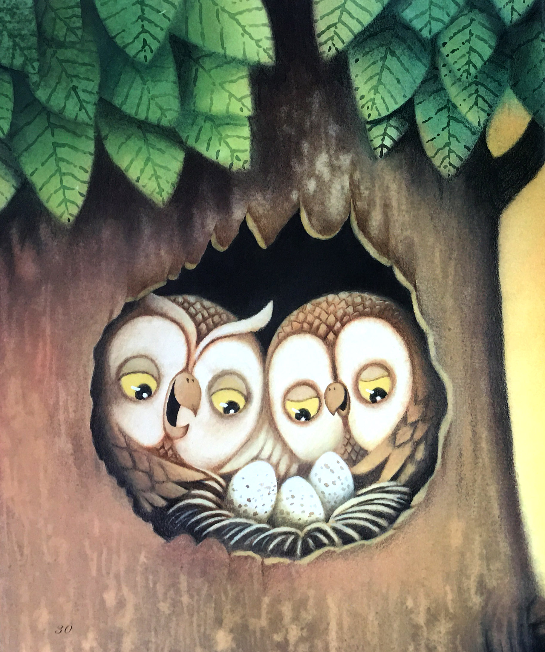 有故事情节的简笔画图片 _飞翔号