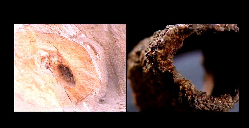 一神秘洞穴惊现15万年前