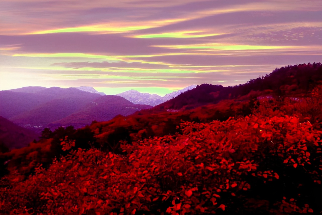 好消息！河北省迎来一所“新双一流”，河南省学生们实名羡慕