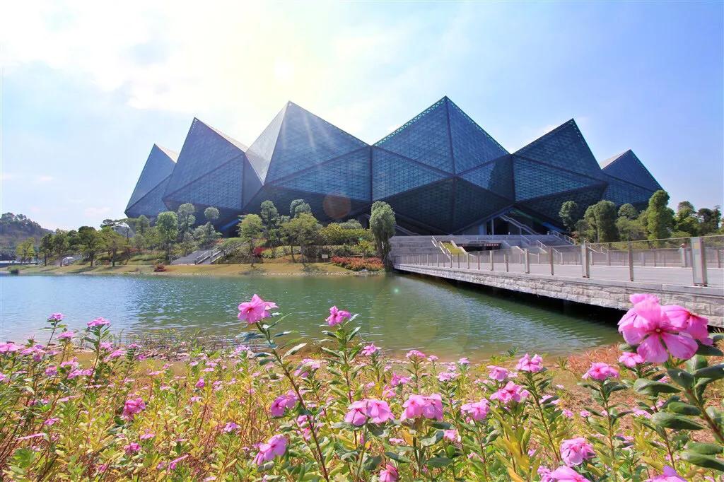 深圳十大免费特色的湖泊公园