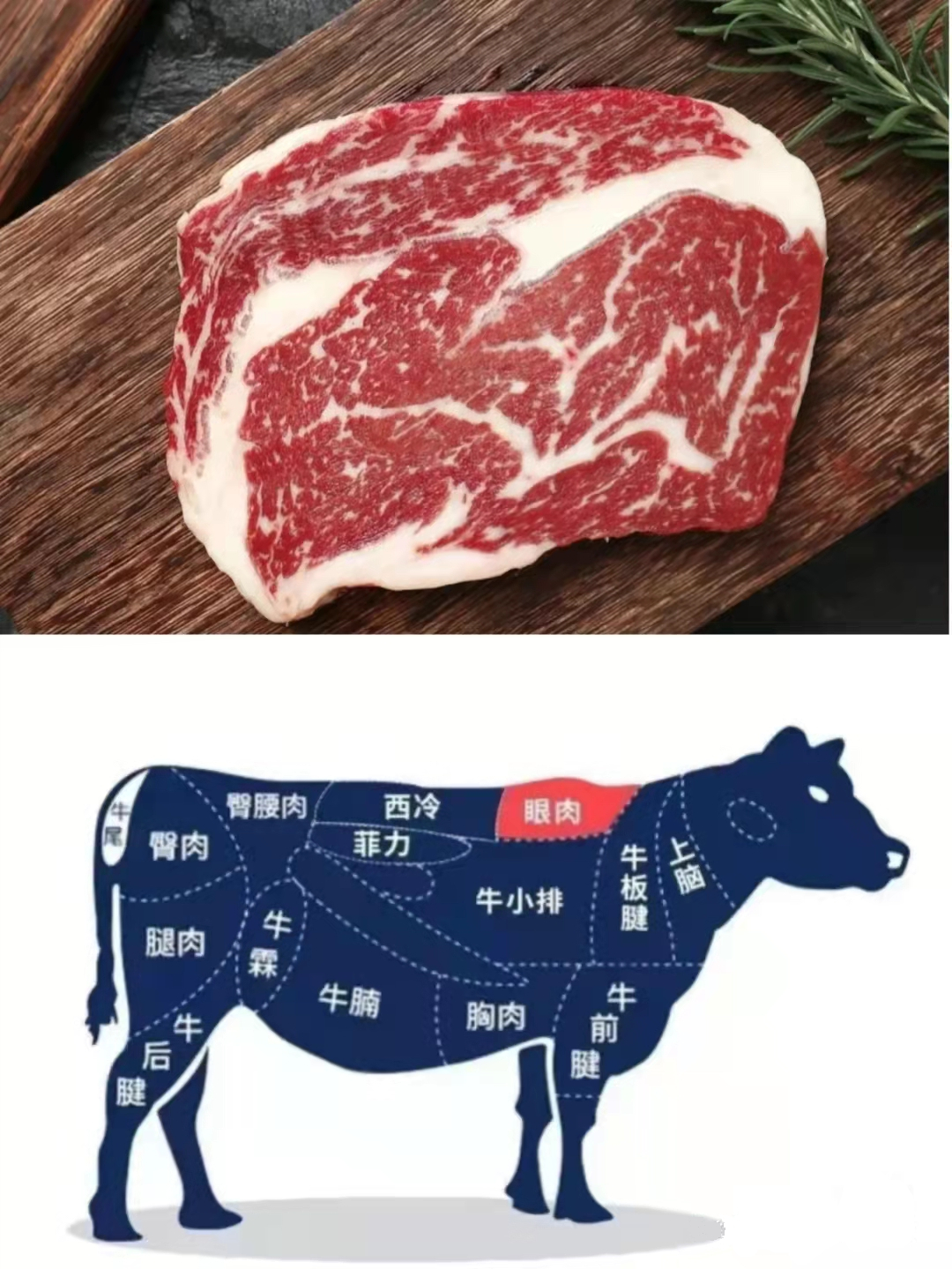 牛肉不同部位區別，美食口感自然不同