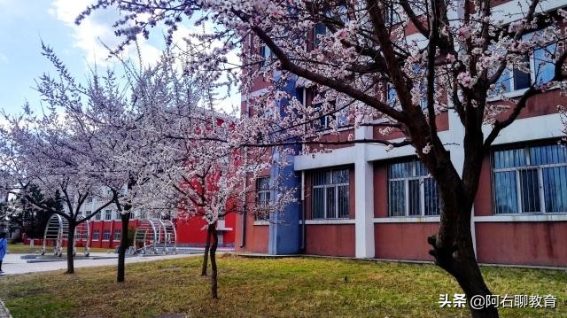 张雪峰老师的故乡齐齐哈尔，有哪些本科高校？