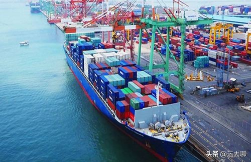 头疼高额反倾销税？转口贸易了解下！| 5分钟外贸课堂