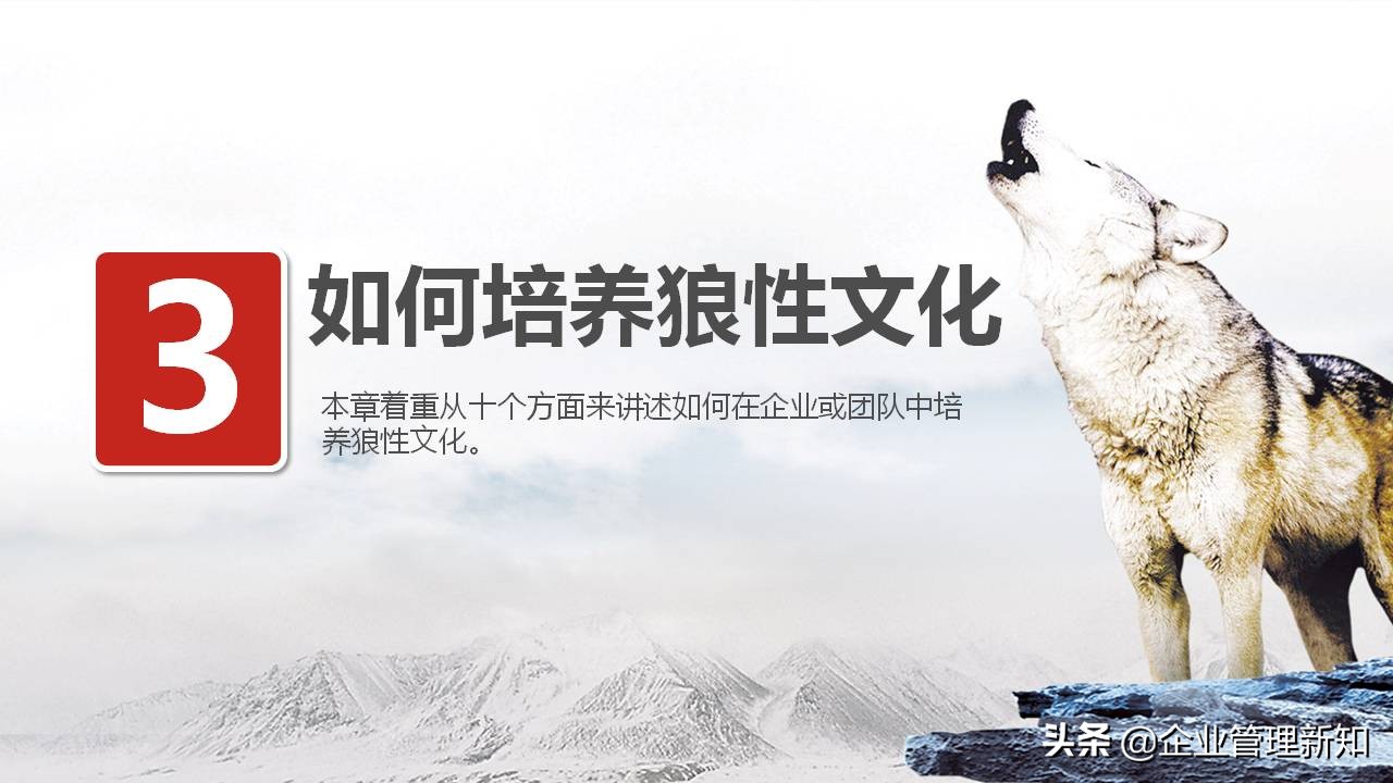 33页完整版，狼性文化与企业精神培训PPT，可直接用于员工培训